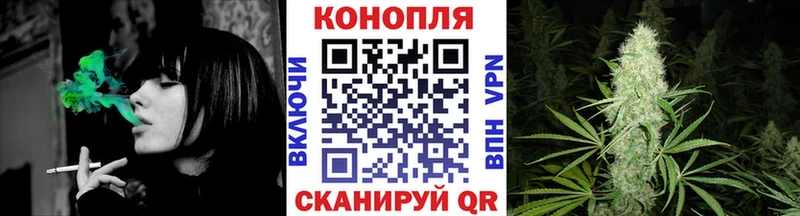 как найти наркотики  Суворов  Каннабис LSD WEED 